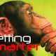Illustration for article titled Chimpanzees are learning how to outwit human hunters